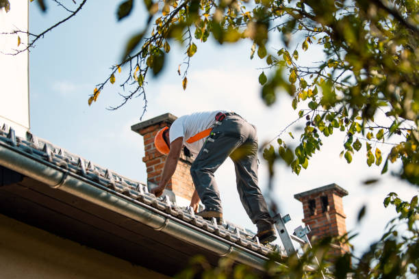 Best Commercial Roofing Services  in Thoreau, NM