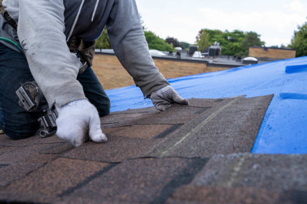 Best Roof Leak Repair  in Thoreau, NM