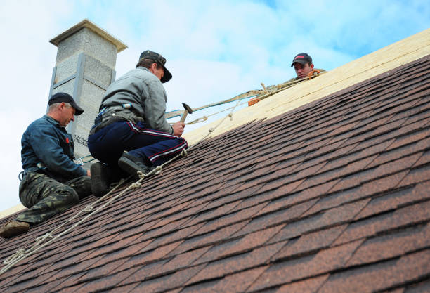 Best Gutter Installation and Roofing  in Thoreau, NM